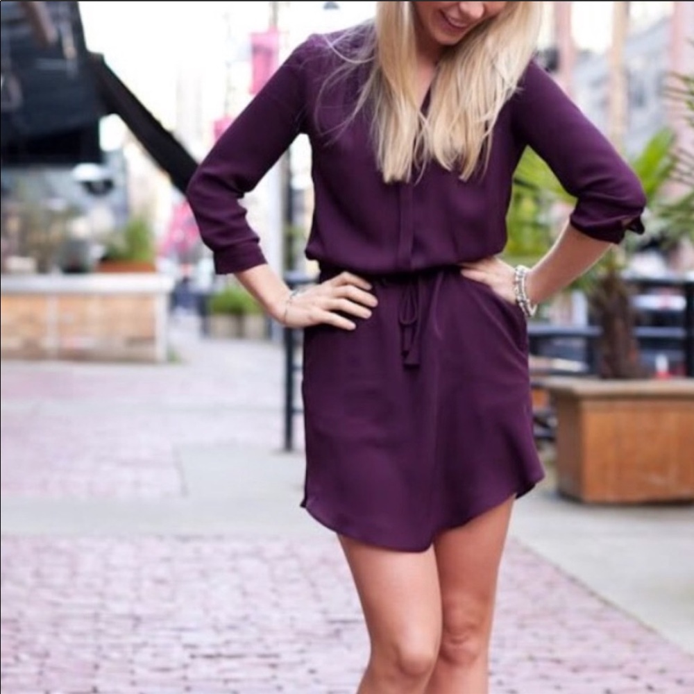 Babaton Aritzia Mini Shirtdress: Plum Wine